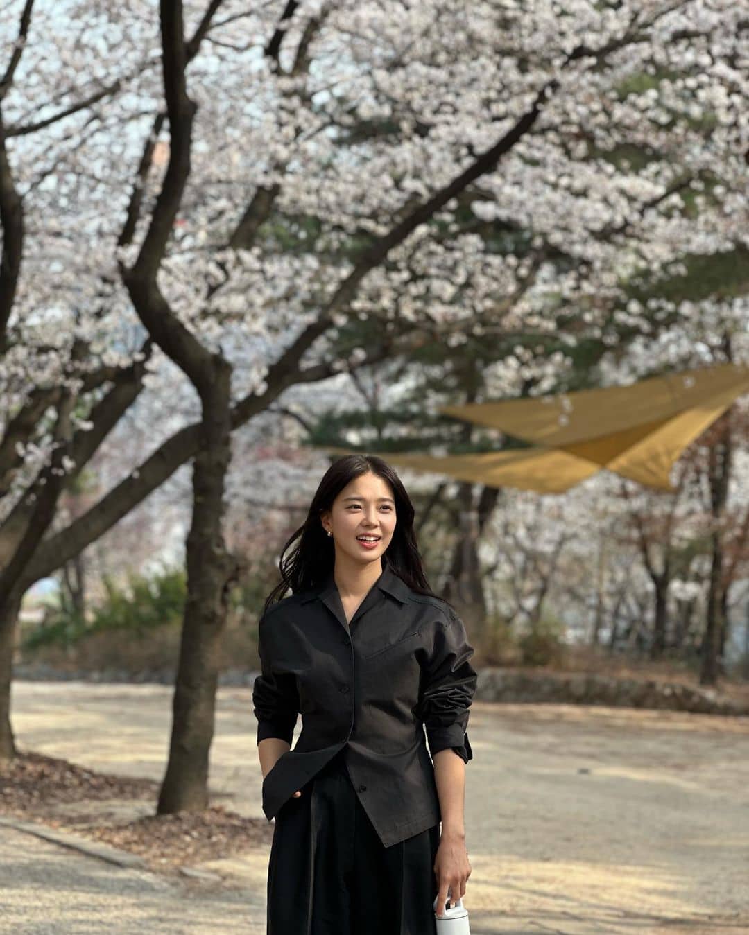 Fast Facts About “The Worst of Evil” Actress Im Se Mi